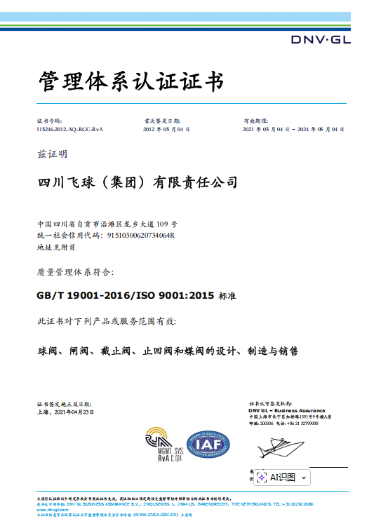 飛球-DNV認(rèn)證-ISO9001證書