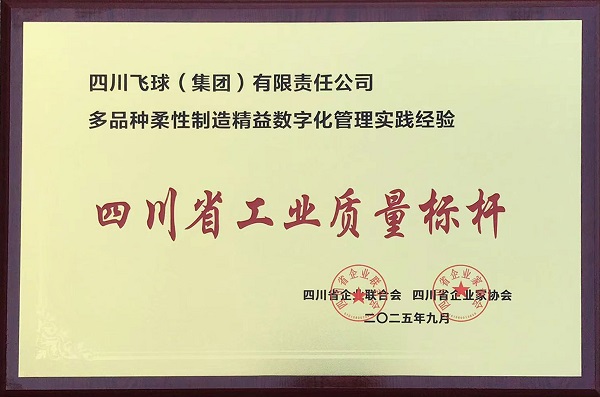 四川飛球榮獲“四川省工業(yè)質(zhì)量標(biāo)桿”，以卓越品質(zhì) 領(lǐng)航行業(yè)發(fā)展